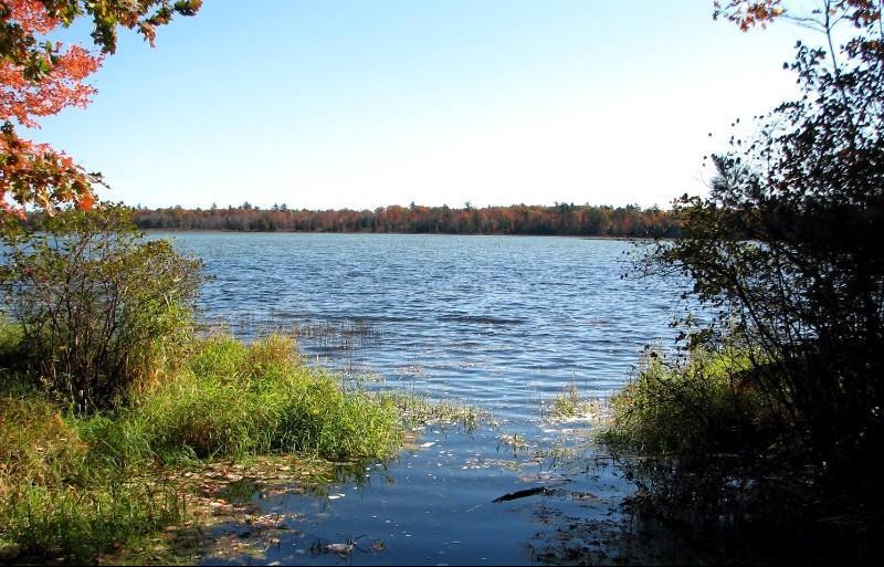 Beachfront Hotel Houghton Lake Natura foto